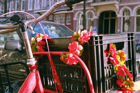 Flowers on bicycle by Ayolt de Roos
