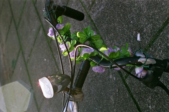Flowers on bicycle by Ayolt de Roos
