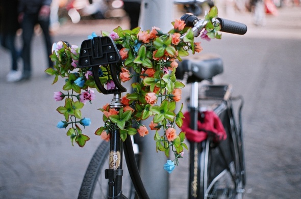 Flowers on bike by Ayolt de Roos